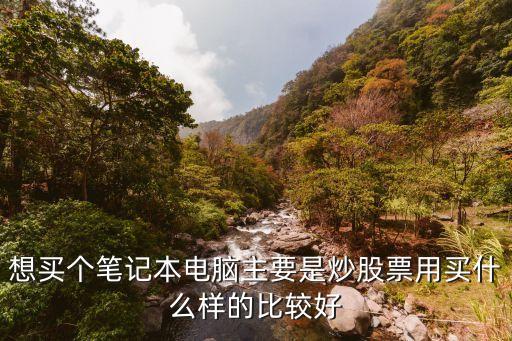 想买个笔记本电脑主要是炒股票用买什么样的比较好