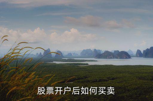 股票1450后怎么交易，股票交易怎么操作