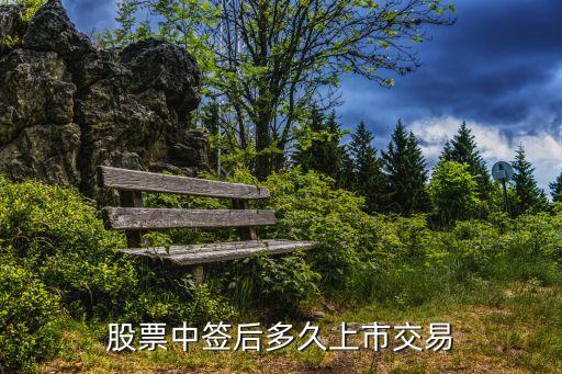 股票中签后多久上市交易