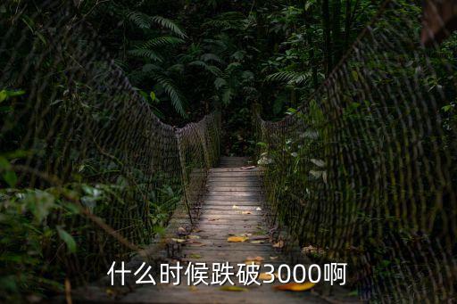什么时候跌破3000啊