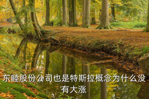 东睦股份公司也是特斯拉概念为什么没有大涨