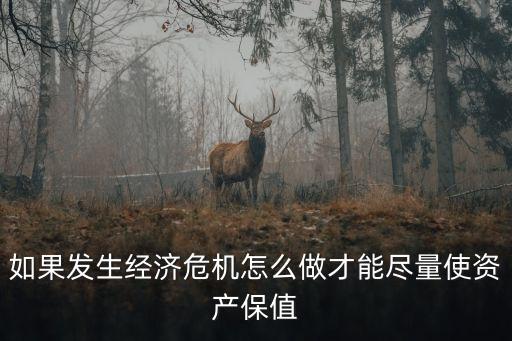 长期股票怎么保值，如果发生经济危机怎么做才能尽量使资产保值