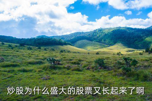 股票为什么长，为什么盛大的股票又长起来了