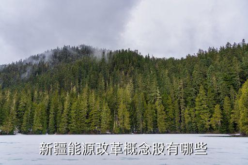 新疆能源改革概念股有哪些