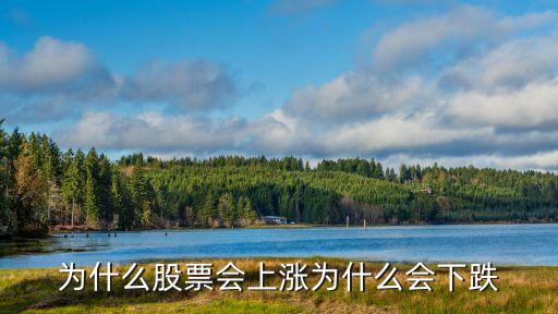 为什么股票会上涨为什么会下跌
