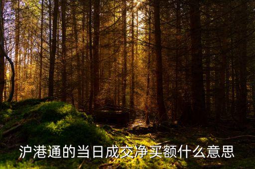 沪港通的当日成交净买额什么意思