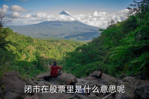 股票下午闭市什么意思，股市下午好久关市