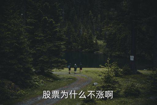 股票为什么不涨啊