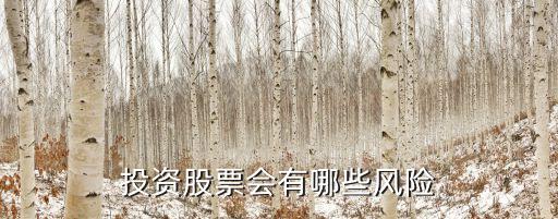 投资股票会有哪些风险