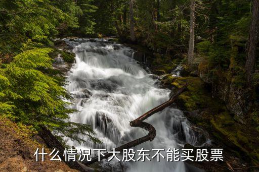什么情况下大股东不能买股票