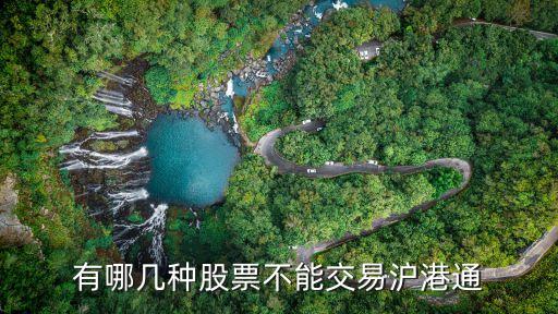 有哪几种股票不能交易沪港通