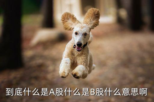 到底什么是A股什么是B股什么意思啊