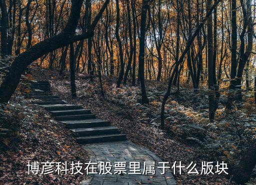 金博股票属什么版块，博彦科技在股票里属于什么版块