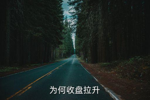 为何收盘拉升