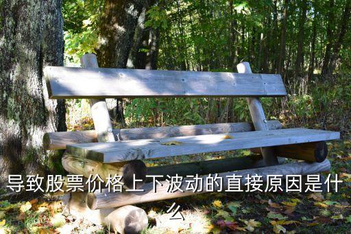 导致股票价格上下波动的直接原因是什么