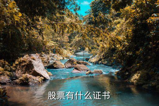 股票有什么证书