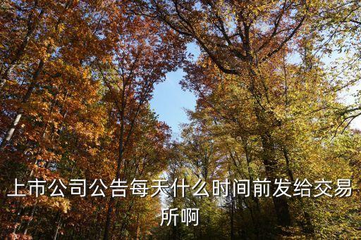 上市公司公告每天什么时间前发给交易所啊