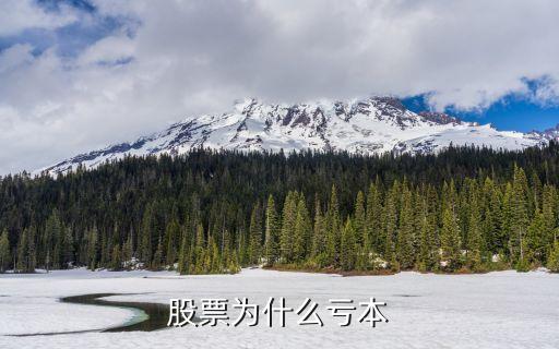 股票为什么亏本