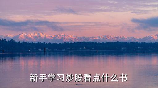 新手学习炒股看点什么书