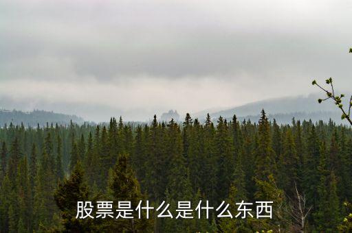 股票是什么是什么东西