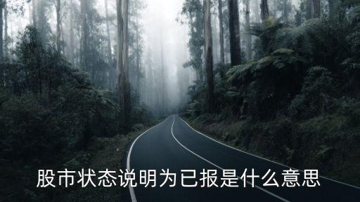 股市状态说明为已报是什么意思