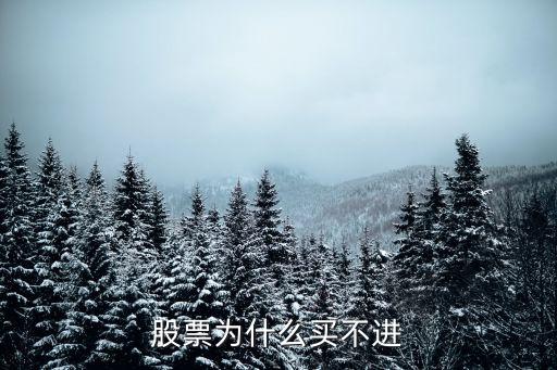 股票为什么买不进