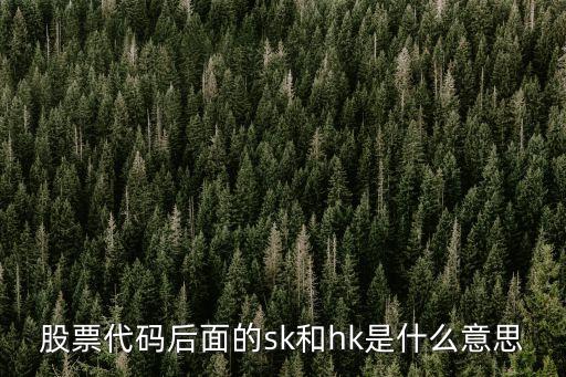 股票代码后面的sk和hk是什么意思