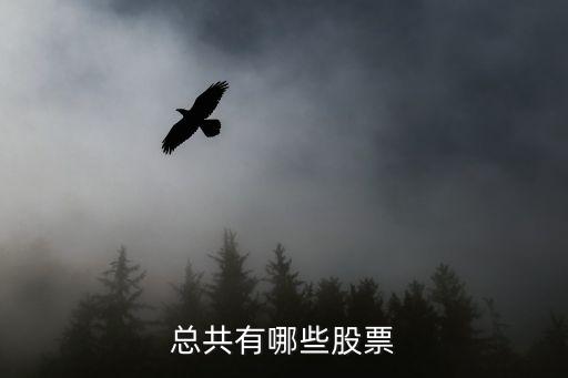 炒股都有什么股票，股票的种类有哪些求高手解答