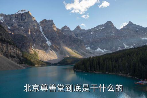 北京尊善堂到底是干什么的