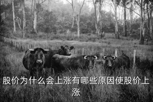 股价为什么会上涨有哪些原因使股价上涨