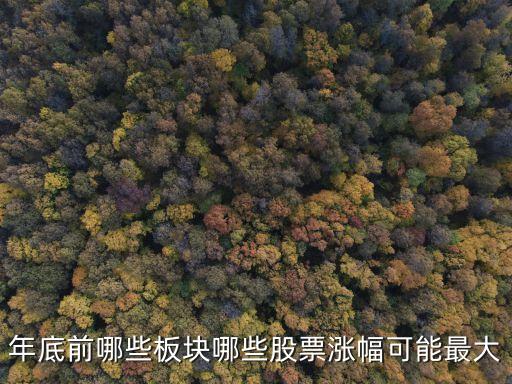年底前哪些板块哪些股票涨幅可能最大