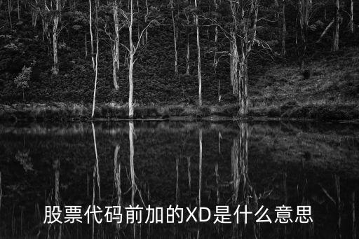 股票代码前加的XD是什么意思