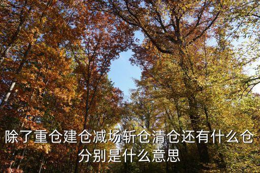 除了重仓建仓减场斩仓清仓还有什么仓分别是什么意思