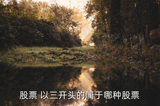 股票 以三开头的属于哪种股票