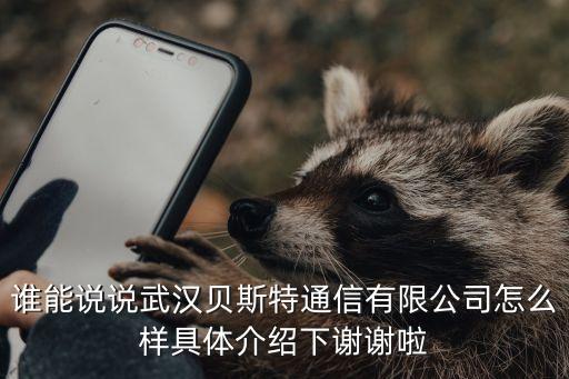 谁能说说武汉贝斯特通信有限公司怎么样具体介绍下谢谢啦
