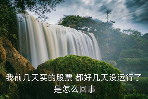 股票黑了为什么不动了，我今天买入的股本来是绿色的不知道怎么一回事现在变成黑色了