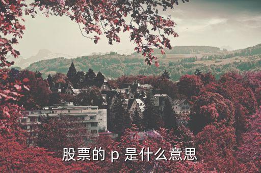股票的 p 是什么意思