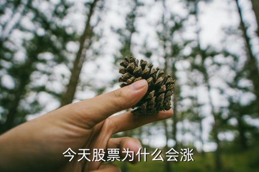 今天股票为什么会涨