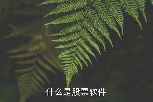 什么是股票软件