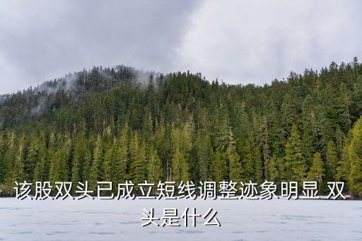 该股双头已成立短线调整迹象明显 双头是什么