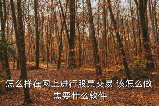 怎么样在网上进行股票交易 该怎么做 需要什么软件