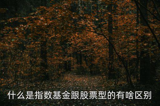 什么是指数基金跟股票型的有啥区别