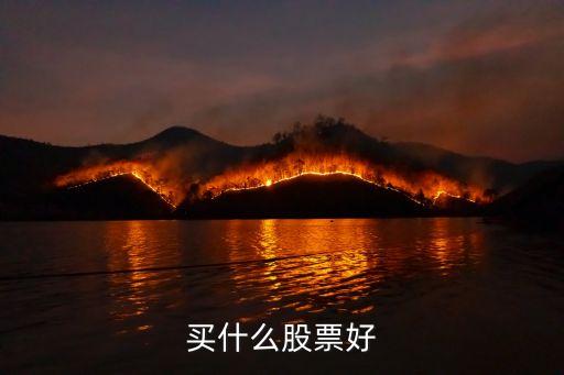 买什么股票好