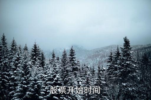 股票开始时间