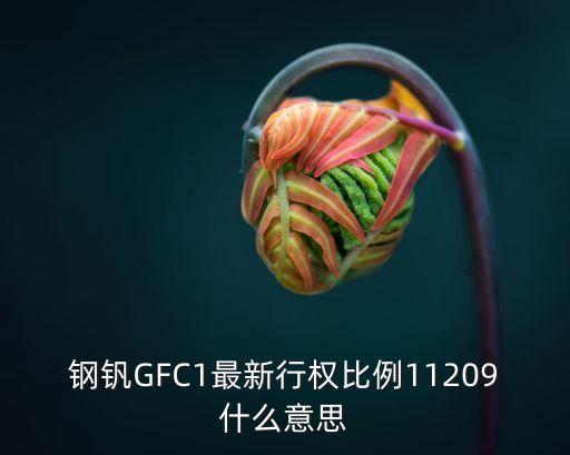 钢钒GFC1最新行权比例11209什么意思