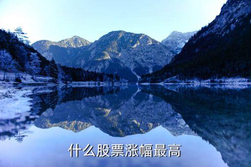 什么股票涨幅最高