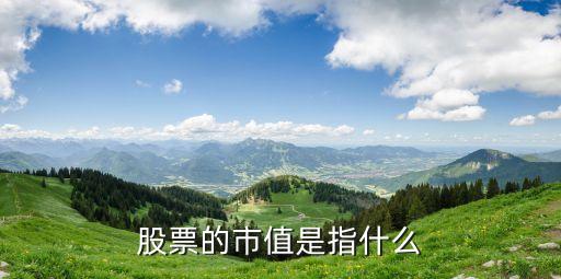 股票的市值是指什么