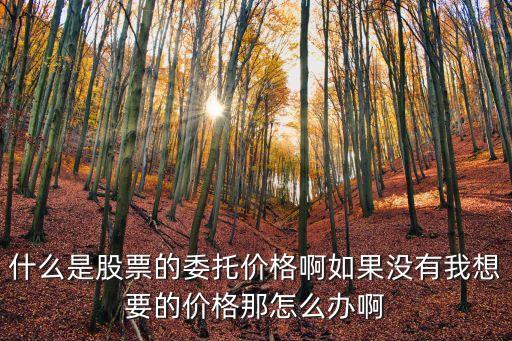 什么是股票的委托价格啊如果没有我想要的价格那怎么办啊