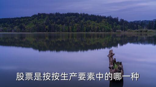股票是按照什么要素所得，股票是按按生产要素中的哪一种