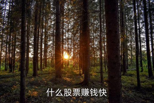 什么股票赚钱快